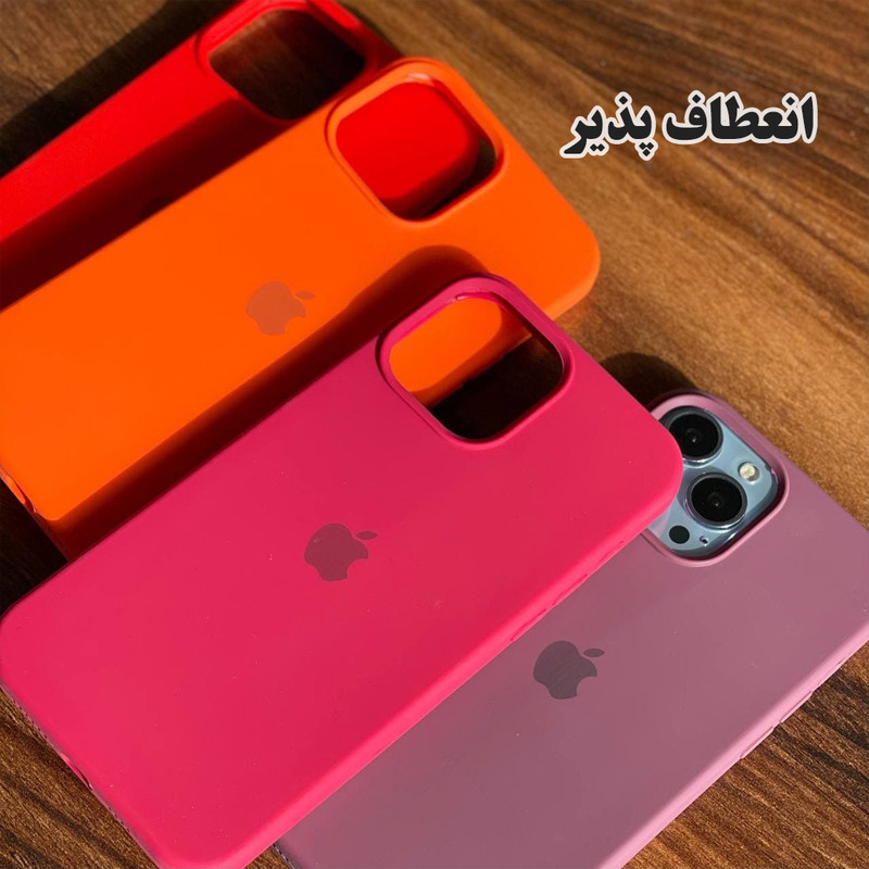 کاور قاب گارد مدل SILASLIG مناسب برای گوشی موبایل اپل iPhone 11 Pro