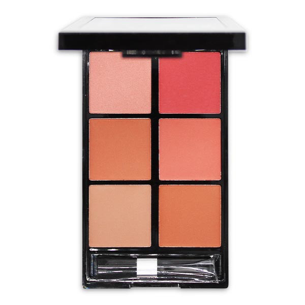 پالت رژ گونه رمانتیک برد مدل 6B V-Face Beauty Looks B
