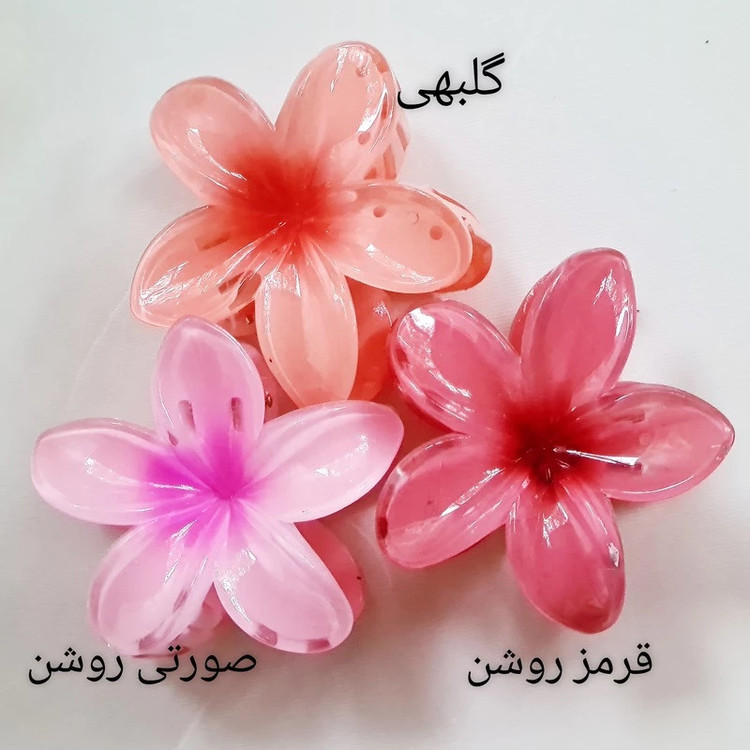 کلیپس مو زنانه مدل گل پلومریا کد brg 410 بسته دو عددی
