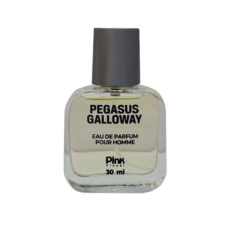 عطر جیبی مردانه پینک ویژوال مدل Pegasus Galloway حجم 30 میلی لیتر