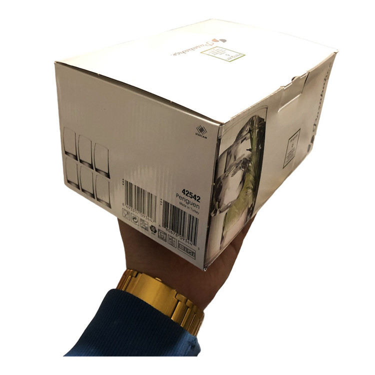 لیوان پاشاباغچه مدل Penguin Golden Golriz 42542 بسته شش عددی