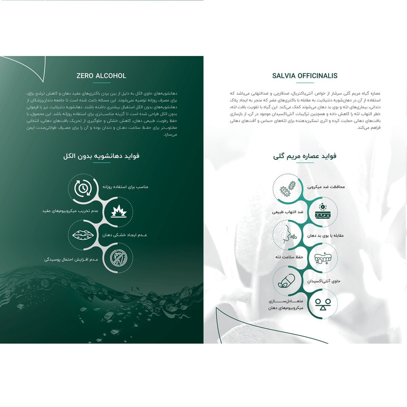 دهان شویه دنتیلایت مدل پستبیوتیک حجم 500 میلیلیتر