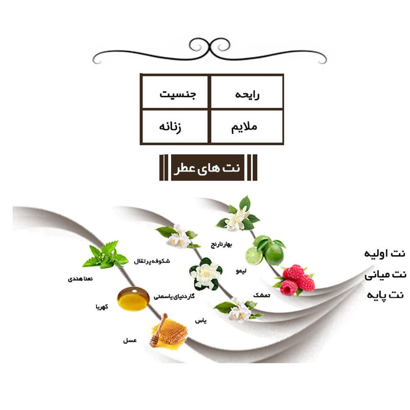ادوپرفیوم زنانه ایفوریا مدل 1 میلیون لیدی حجم 30 میلیلیتر