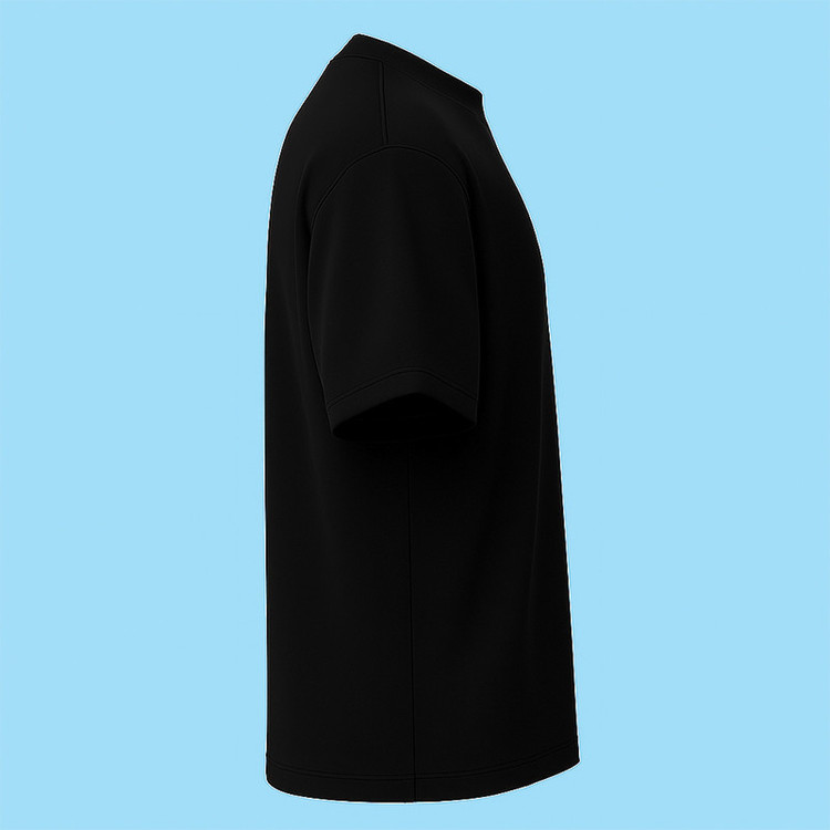 تیشرت آستین کوتاه مردانه مدل ایران زیبا کد c14