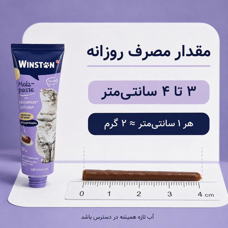 خمیر مالت گربه بالغ وینستون مدل آنتی هیربال مجموعه 2 عددی