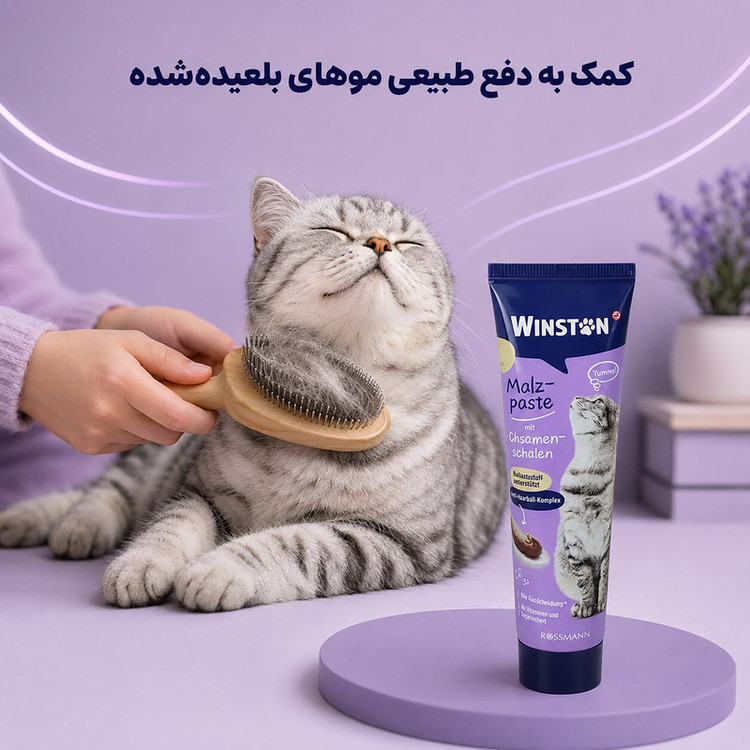 خمیر مالت گربه بالغ وینستون مدل آنتی هیربال وزن 300 گرم مجموعه 3 عددی