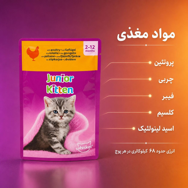پوچ بچه گربه ویسکاس مدل Junior Kitten طعم گوشت پرندگان وزن 85 گرم