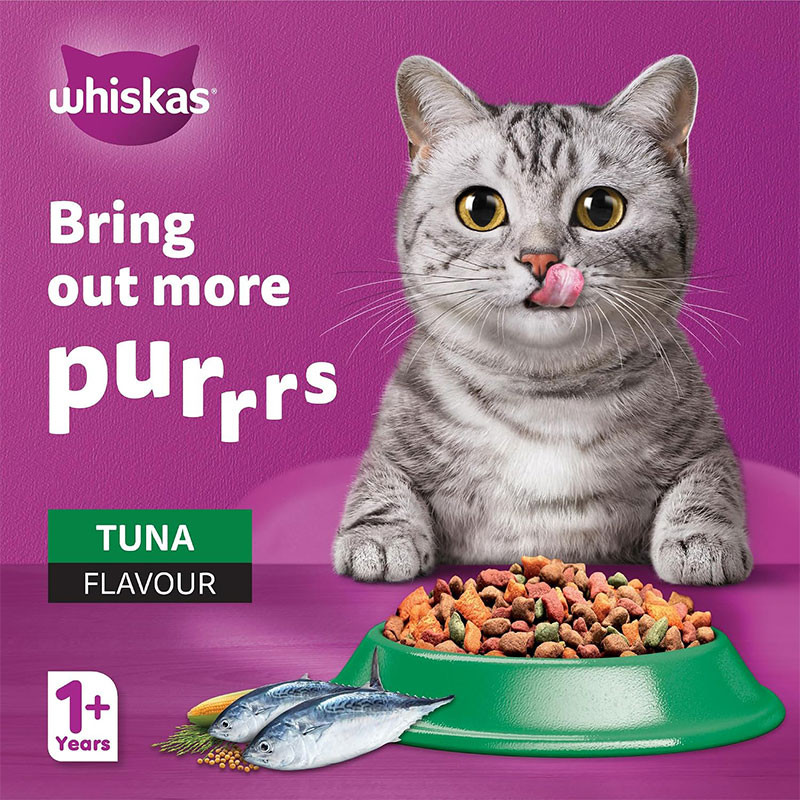 غذای خشک گربه بالغ ویسکاس مدل Dry Cat Food با طعم ماهی تن وزن 1.2 کیلوگرم