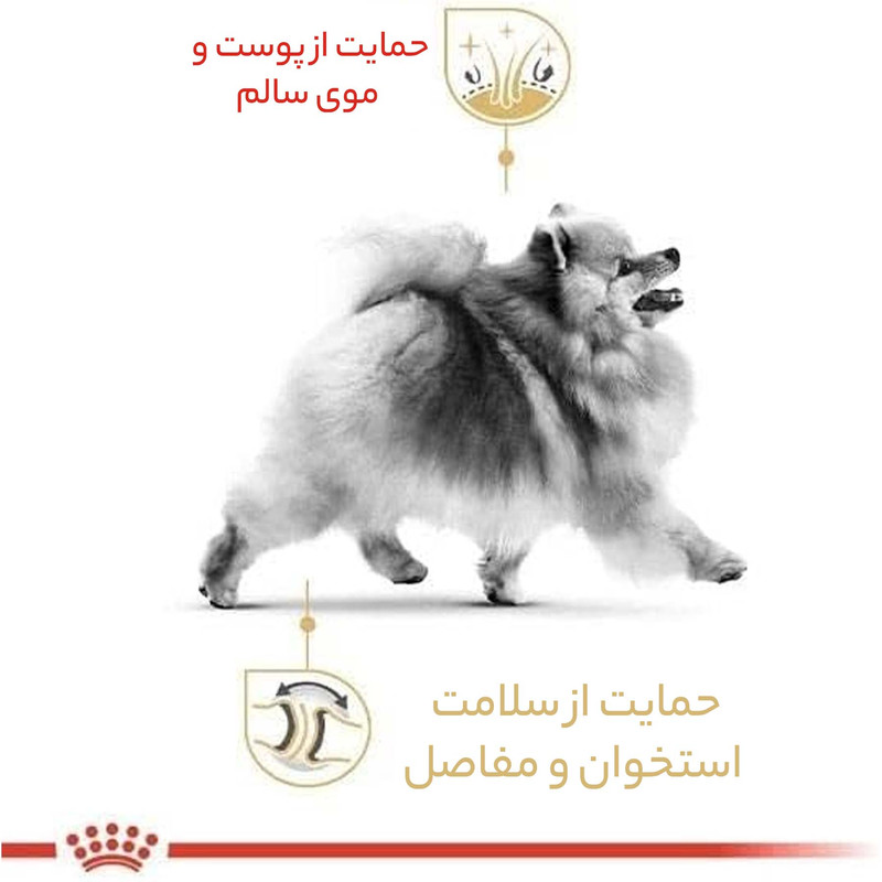 غذا خشک سگ رویال کنین مدل pomeranian وزن 3 کیلوگرم