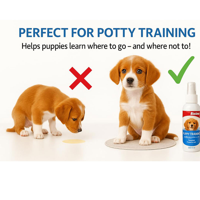 قطره توله سگ بایولاین مدل تعلیم ادرار Puppy Training Spray حجم 120 میلیلیتر