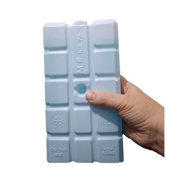 یخ خشک سفری مدل MrICEPACK750 بسته 2 عددی