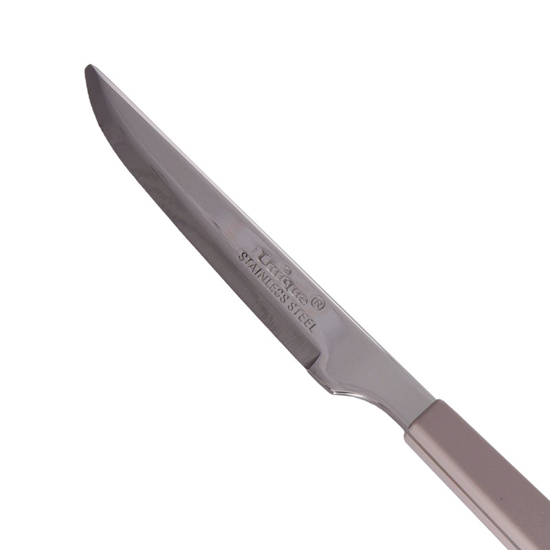 کارد میوه خوری یونیک کد 5851 مجموعه 12 عددی