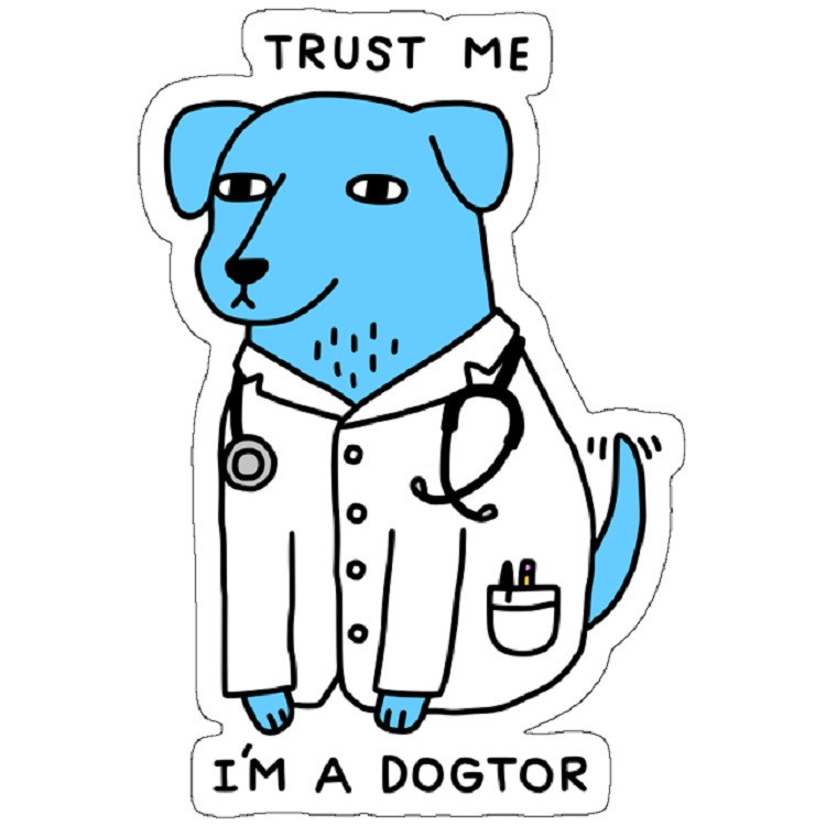 استیکر لپ تاپ مدل Dogtor