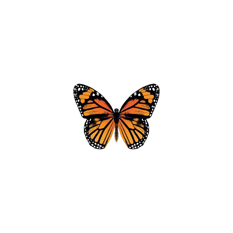 استیکر تزئینی موبایل طرح پروانه کد 274