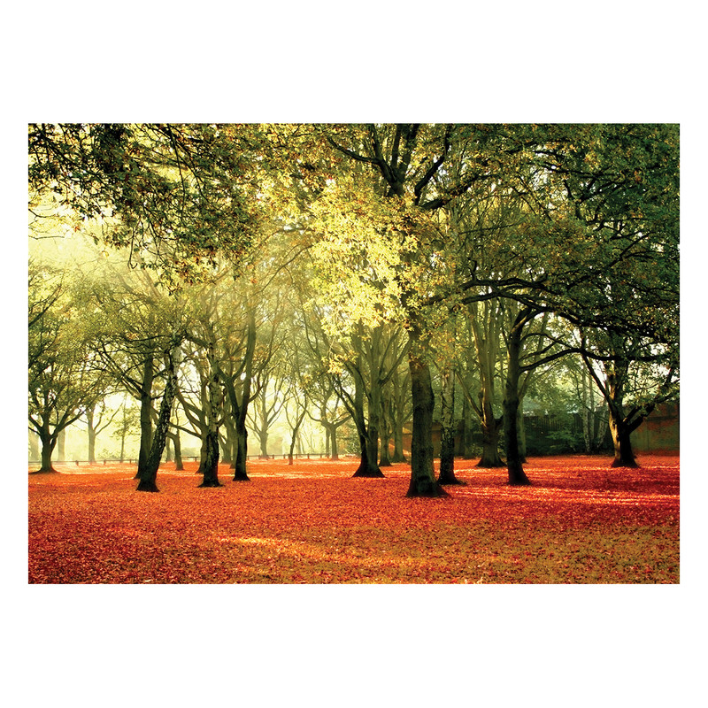 پوستر طرح طبیعت کد 0012