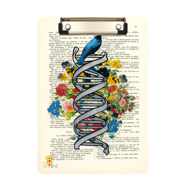 تخته شاسی بانیبو طرح DNA کد 2731 سایز a4