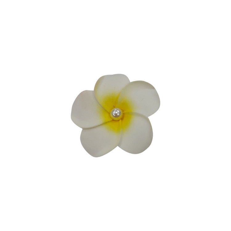 گیره مو زنانه مدل P5