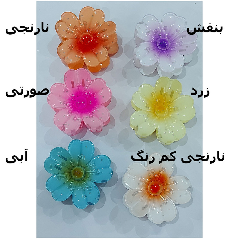 کلیپس مو زنانه مدل PG2