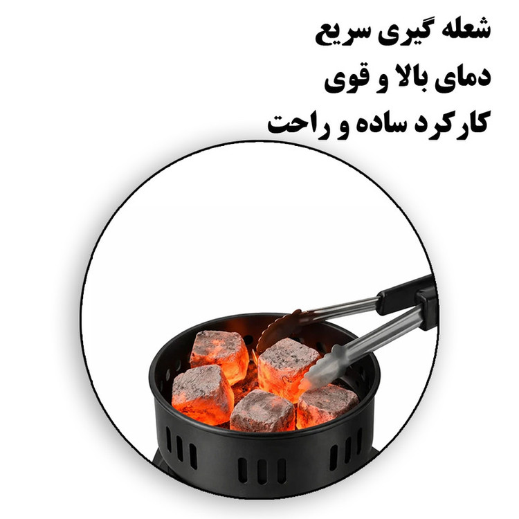 زغال سرخ کن راف مدل R.8036